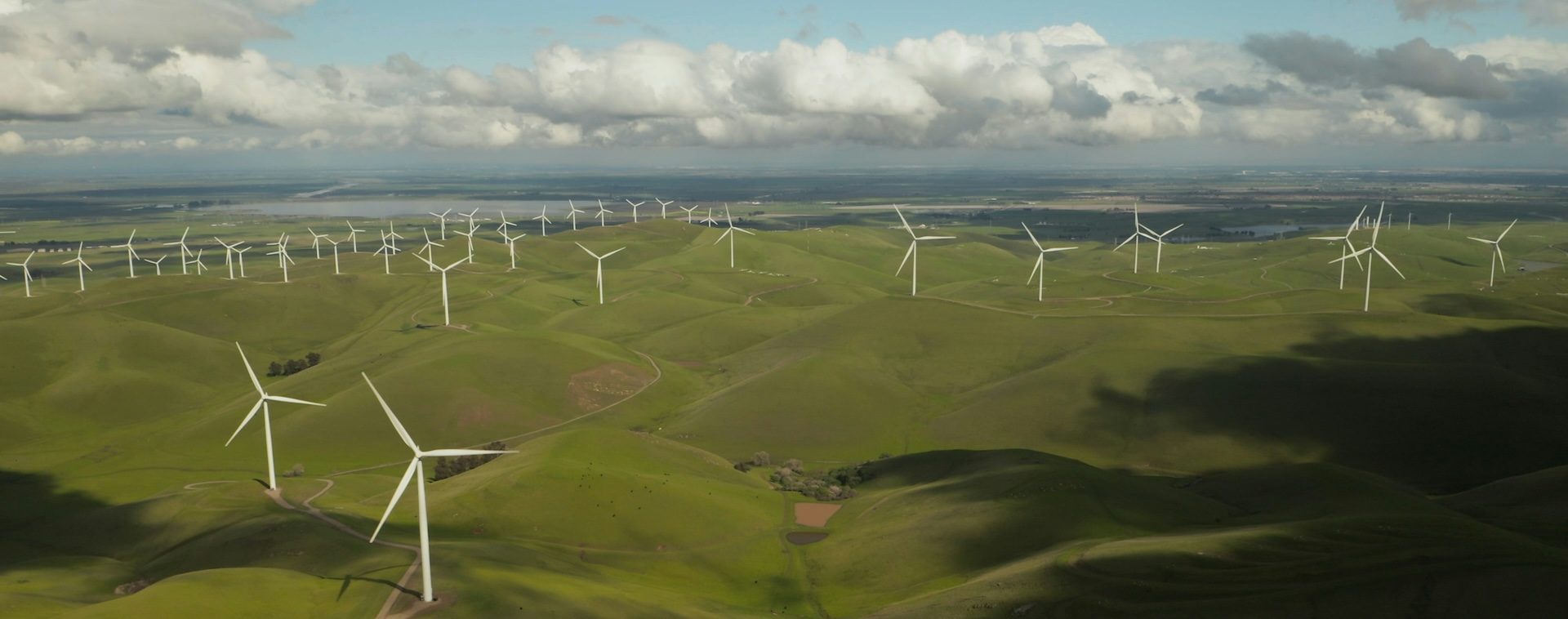 A field with wind turbines on a sunny day